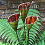 One Copper Cala Lily Garden Sculpture Lt246, thumbnail 12 of 12