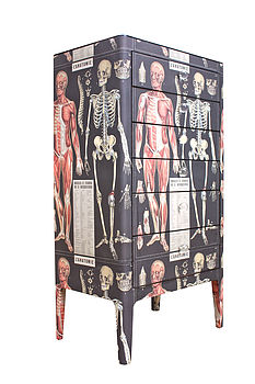 Anatomy Skeleton Chest Of Drawers, 3 of 6