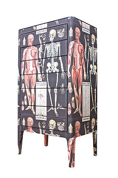 Anatomy Skeleton Chest Of Drawers, 4 of 6