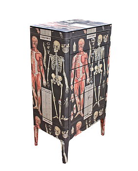 Anatomy Skeleton Chest Of Drawers, 5 of 6