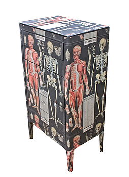 Anatomy Skeleton Chest Of Drawers, 6 of 6