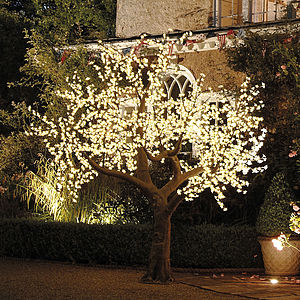 Garden Lights And Lanterns Notonthehighstreet Illuminated Decorative Led Tree