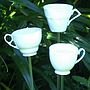 Teacup Bird Drinker Or Feeder, thumbnail 7 of 10