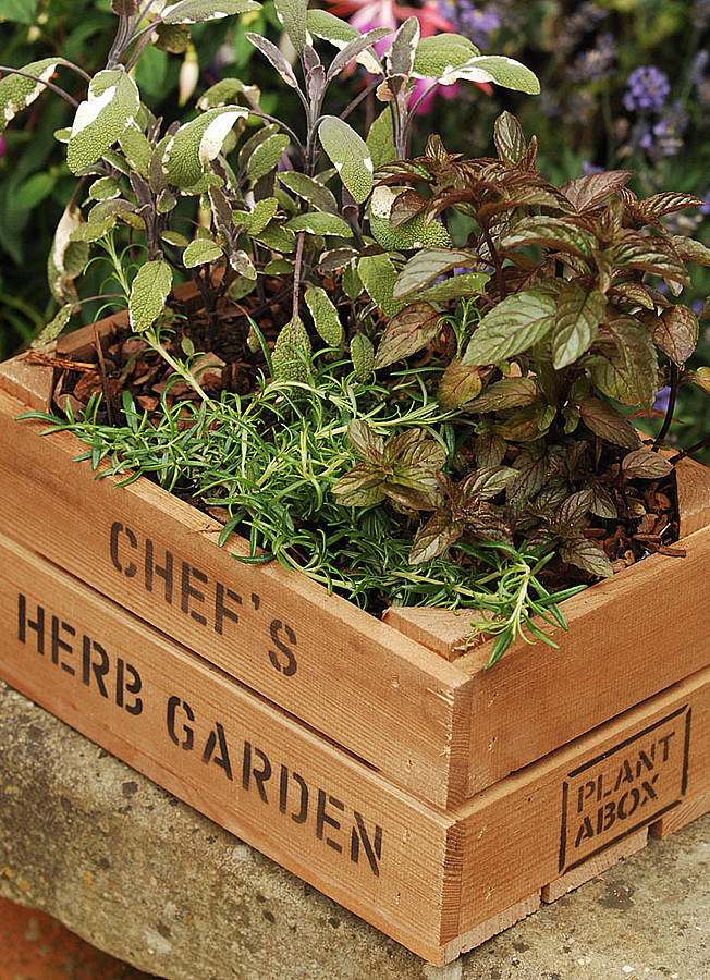 Personalised Crate With Thai Herb Seeds By Plantabox
