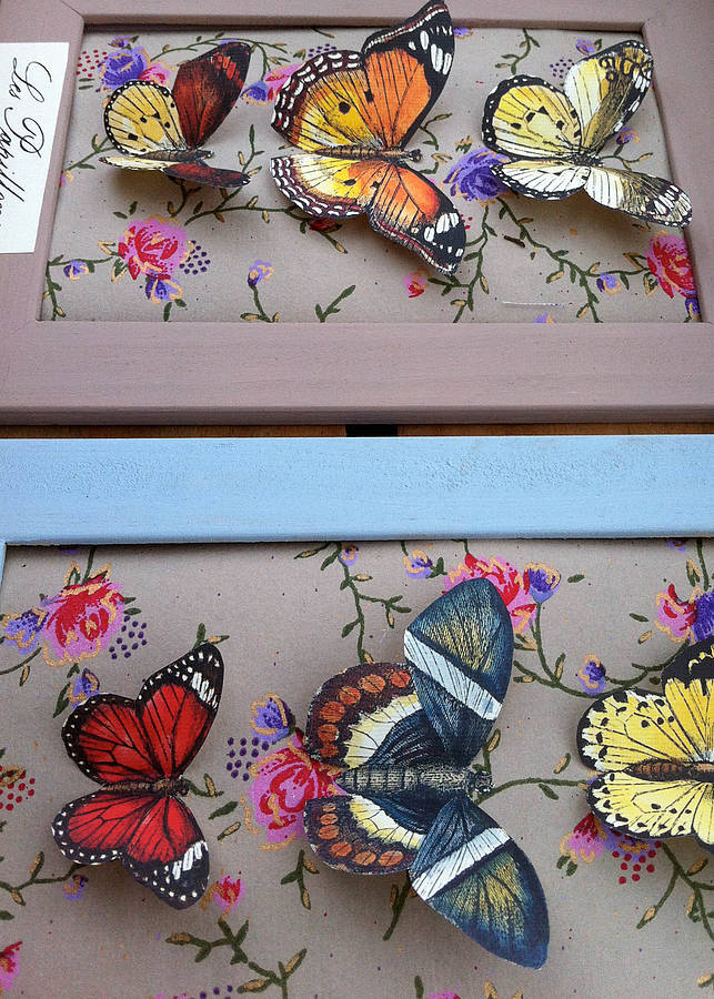 Paper Butterfly Collage By Seedlings Cards & Gifts