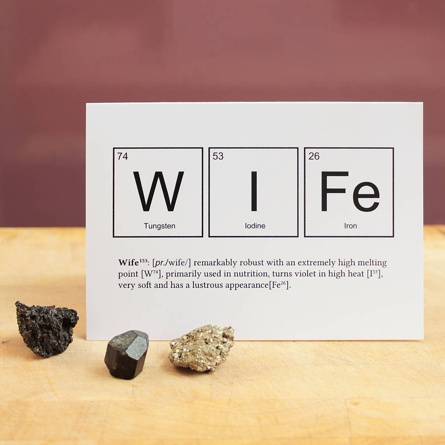 Wife Or Husband Funny Valentines Card By Newton and the Apple