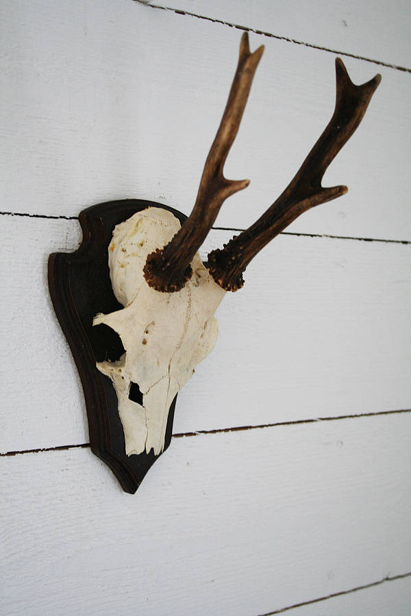 antler tsa002