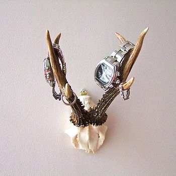 Vintage Roe Deer Antler Jewellery Hanger, 2 of 4