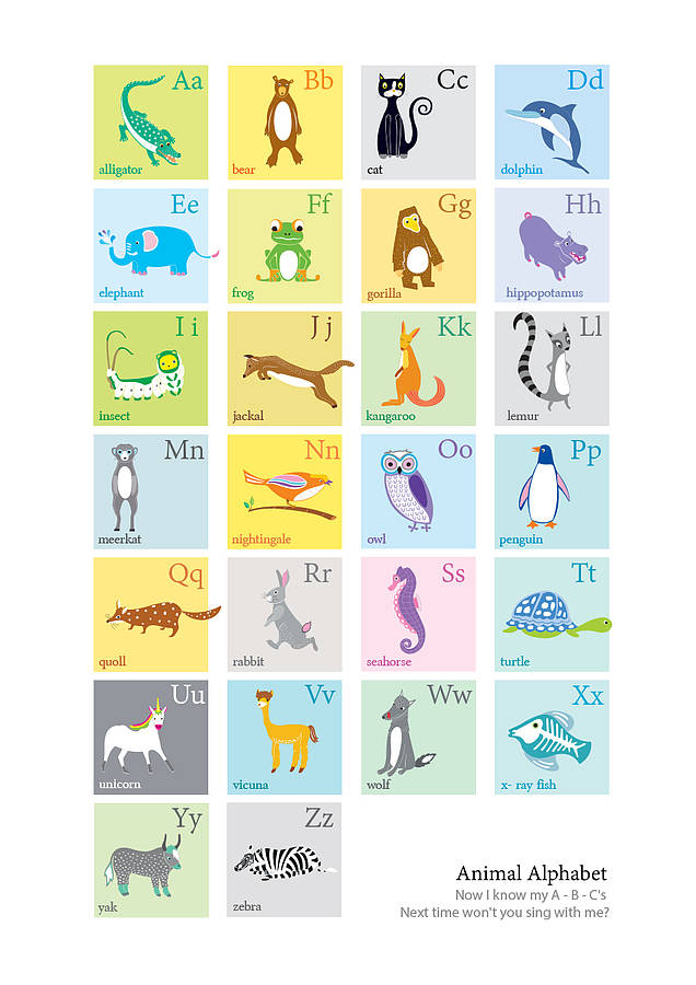 personalised-animal-alphabet-print-by-moonglow-art-notonthehighstreet