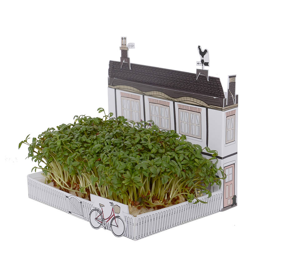 mini village garden growing kit by another studio