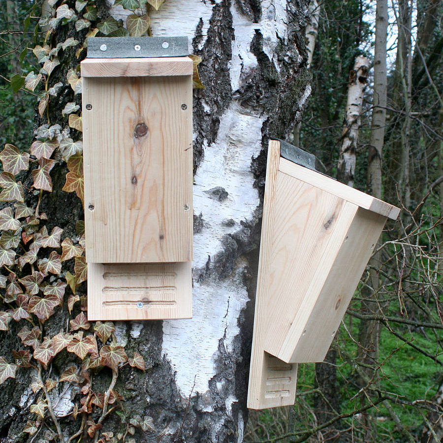 build-your-own-bat-box-by-wudwerx-notonthehighstreet