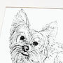 Personalised Pet Line Drawing, thumbnail 10 of 12