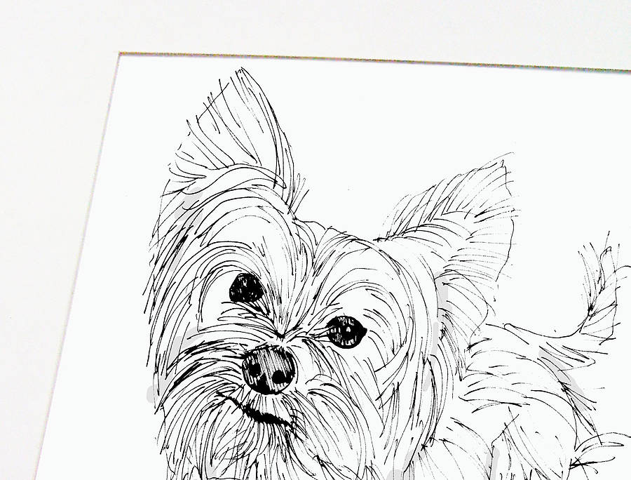 Personalised Pet Line Drawing By Lucy Sheeran | notonthehighstreet.com