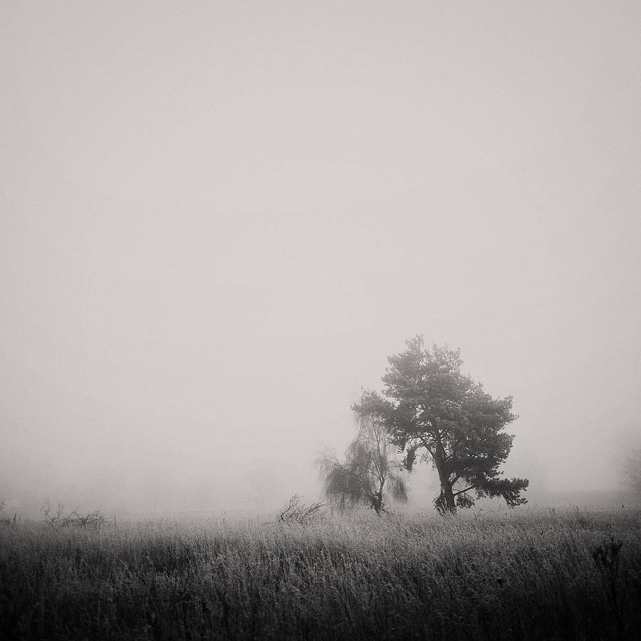 the fog photographic print by ooh pretty shiny ... | notonthehighstreet.com