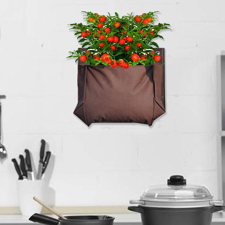 Indoor And Outdoor Grow Bag Kit By BEEcycle