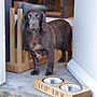 Personalised Solid Oak Dog Bowl, thumbnail 4 of 6