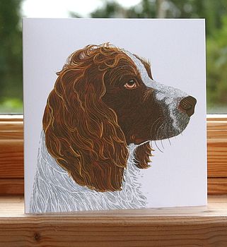 'Springer Spaniel' Dog Card, 2 of 2