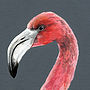 Flamingo Cushion, thumbnail 4 of 5