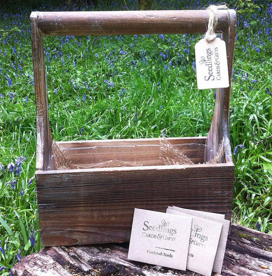 Rustic Seed Box With Seeds By Seedlings Cards & Gifts ...