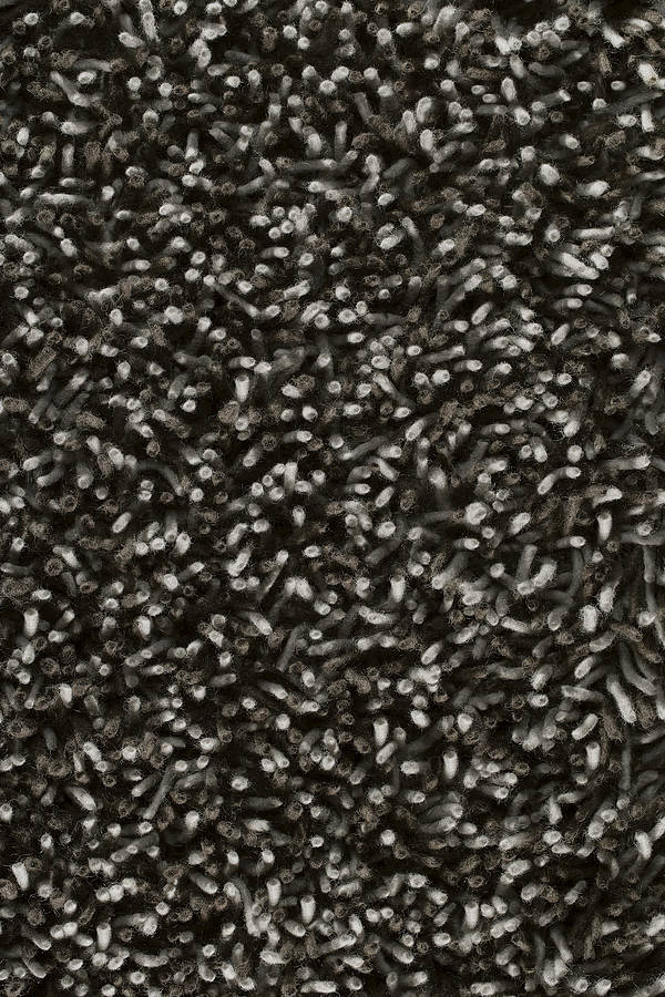 imperial new zealand wool rug by hug rug