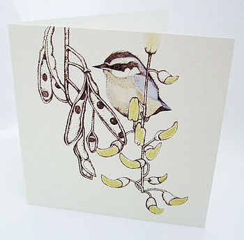'British Birds' Mixed Pack Of Ten Greetings Cards, 2 of 11