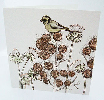 'British Birds' Mixed Pack Of Ten Greetings Cards, 3 of 11