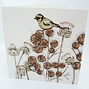 Download 'british Birds' Mixed Pack Of Ten Greetings Cards By Fay's ...