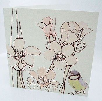 'British Birds' Mixed Pack Of Ten Greetings Cards, 6 of 11