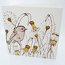 Download 'british Birds' Mixed Pack Of Ten Greetings Cards By Fay's ...