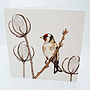 'British Birds' Mixed Pack Of Ten Greetings Cards, thumbnail 10 of 11
