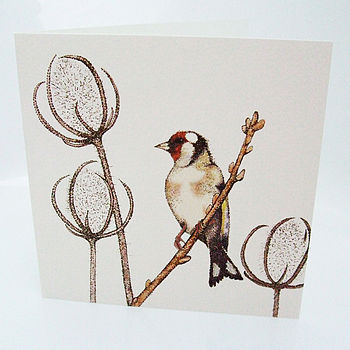 'British Birds' Mixed Pack Of Ten Greetings Cards, 10 of 11