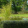Deluxe Artificial Instant Boxwood Hedge, thumbnail 2 of 4