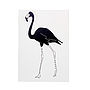 Black Flamingo Blank Greetings Card, thumbnail 4 of 4