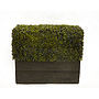 Deluxe Artificial Instant Boxwood Hedge, thumbnail 1 of 4