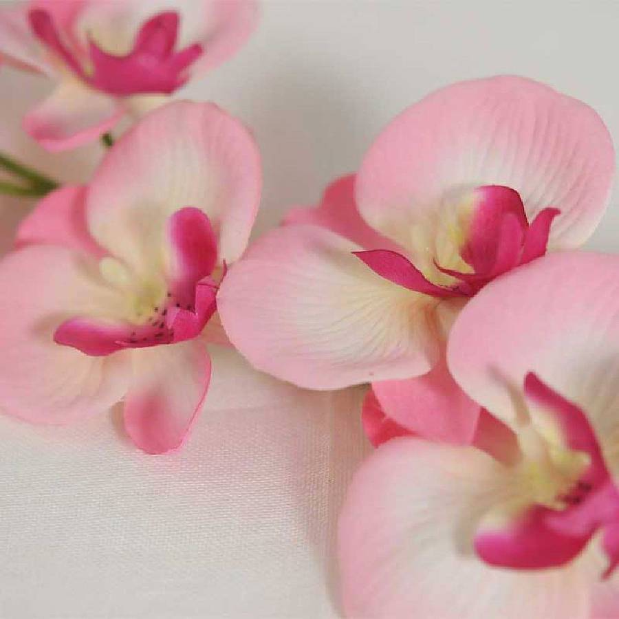 White And Pink Silk Orchid Flowers By Victoria Jill