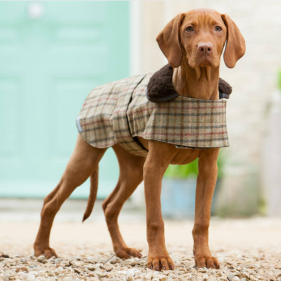 Luxury Tweed Dog Coats By Mutts & Hounds