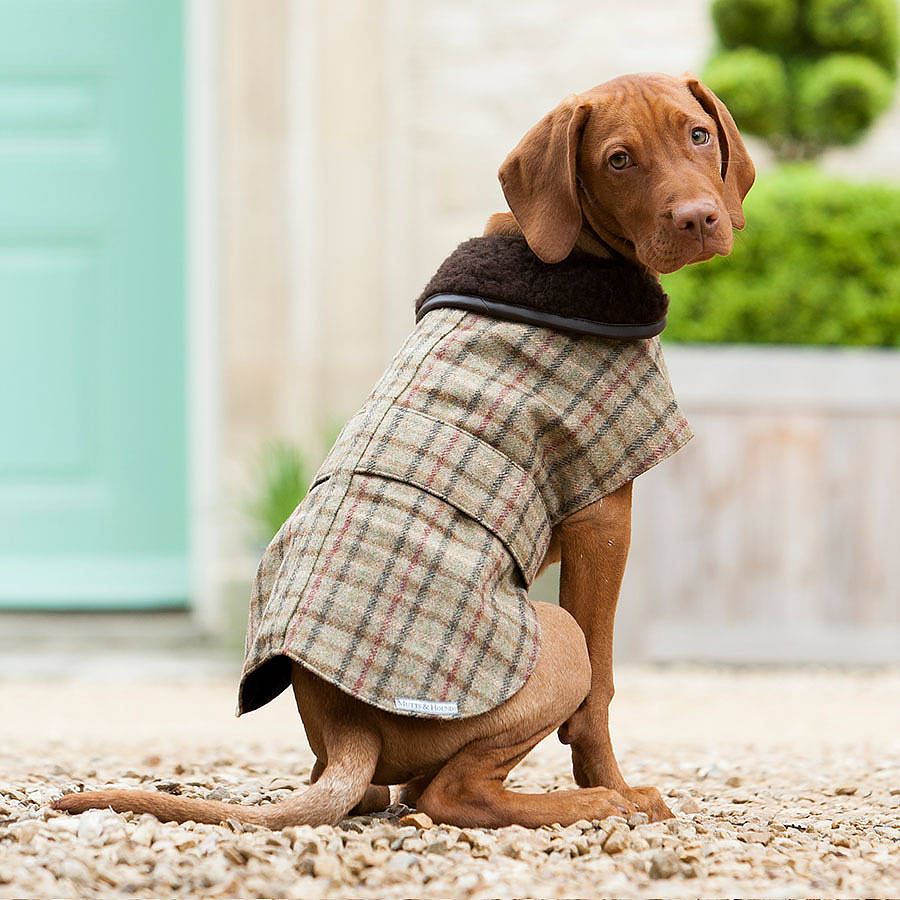 Luxury Tweed Dog Coats By Mutts & Hounds