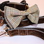 Scrufts Astaire Bow Tie Dog Collar And Lead, thumbnail 1 of 1