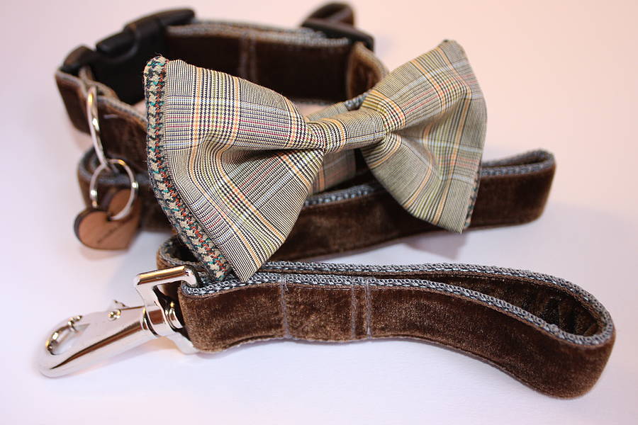 Scrufts Astaire Bow Tie Dog Collar And Lead