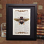Upcycled Antique Paper Insect Bee Print, thumbnail 3 of 5