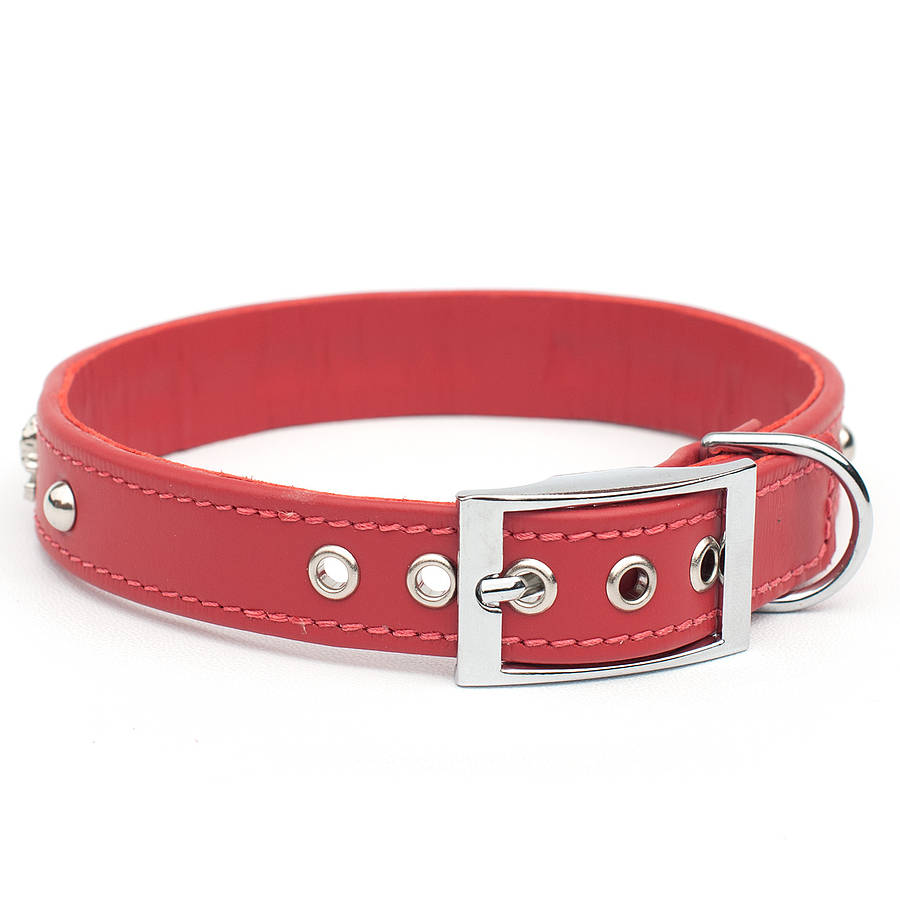 skull and crossbones leather dog collar by petiquette ...