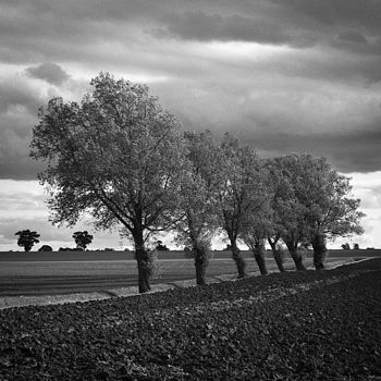 Walsham Le Willows, Black And White, Art Print, 3 of 7