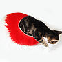 Cat Bed In Two Tone Colour With Ball, thumbnail 5 of 8
