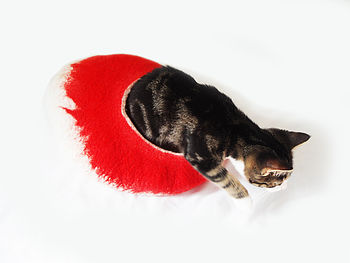 Cat Bed In Two Tone Colour With Ball, 5 of 8