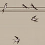 On A Wire Birds Wallpaper, thumbnail 3 of 4