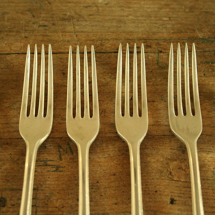 set of six dinner forks by homestead store