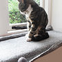 Cat Mat Bed For Windowsill, thumbnail 1 of 5