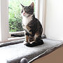 Cat Mat Bed For Windowsill, thumbnail 3 of 5