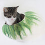Cat Bed In Two Tone Colour With Ball, thumbnail 3 of 8