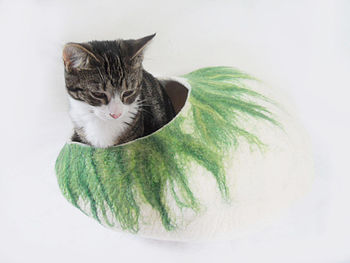 Cat Bed In Two Tone Colour With Ball, 3 of 8
